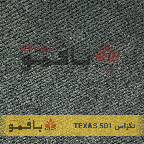 تگزاس 501