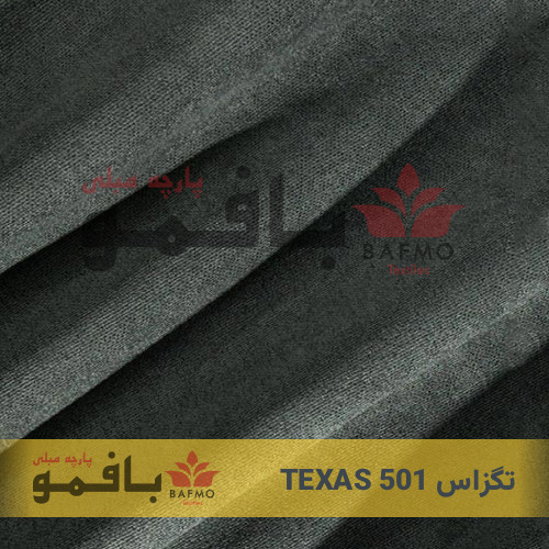 تگزاس 501