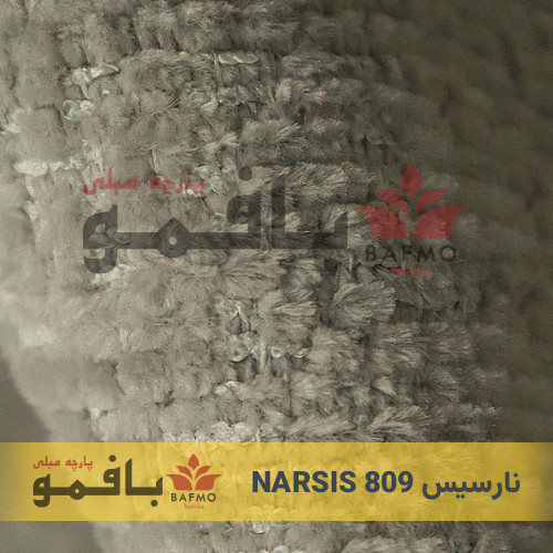 نارسیس 809